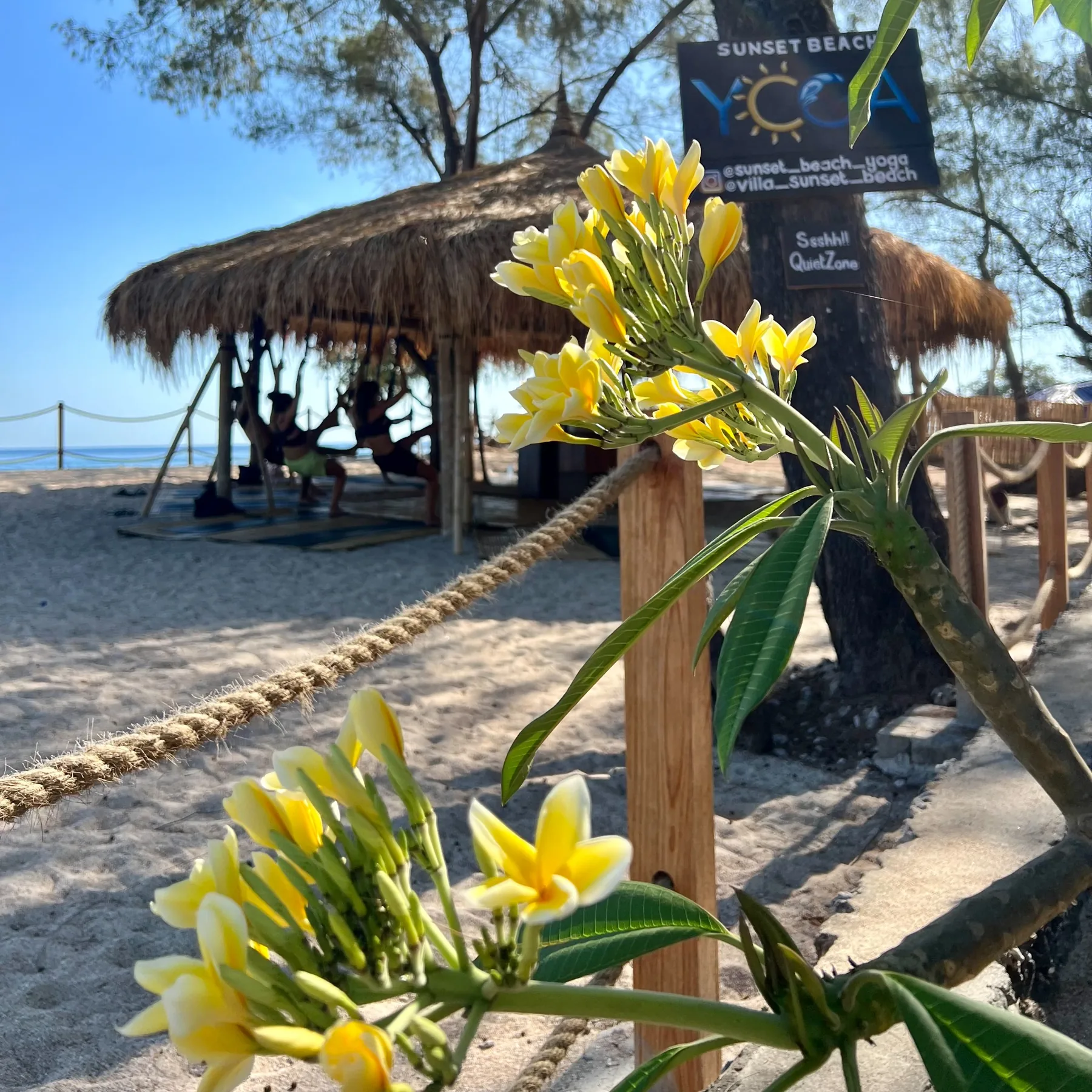 Beach yoga hut with flowers in the foreground